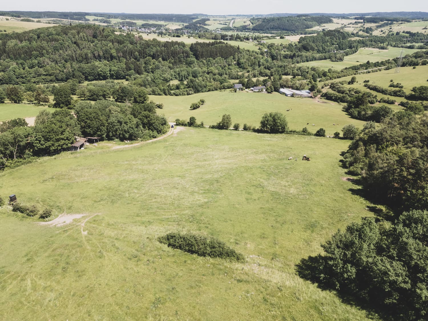 Luftaufnahme der Weiden in Ormont
